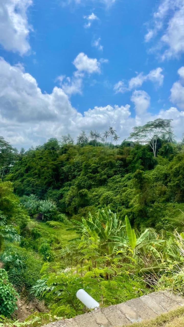Solana Wellness Retreat Hotel Ubud  Exterior photo